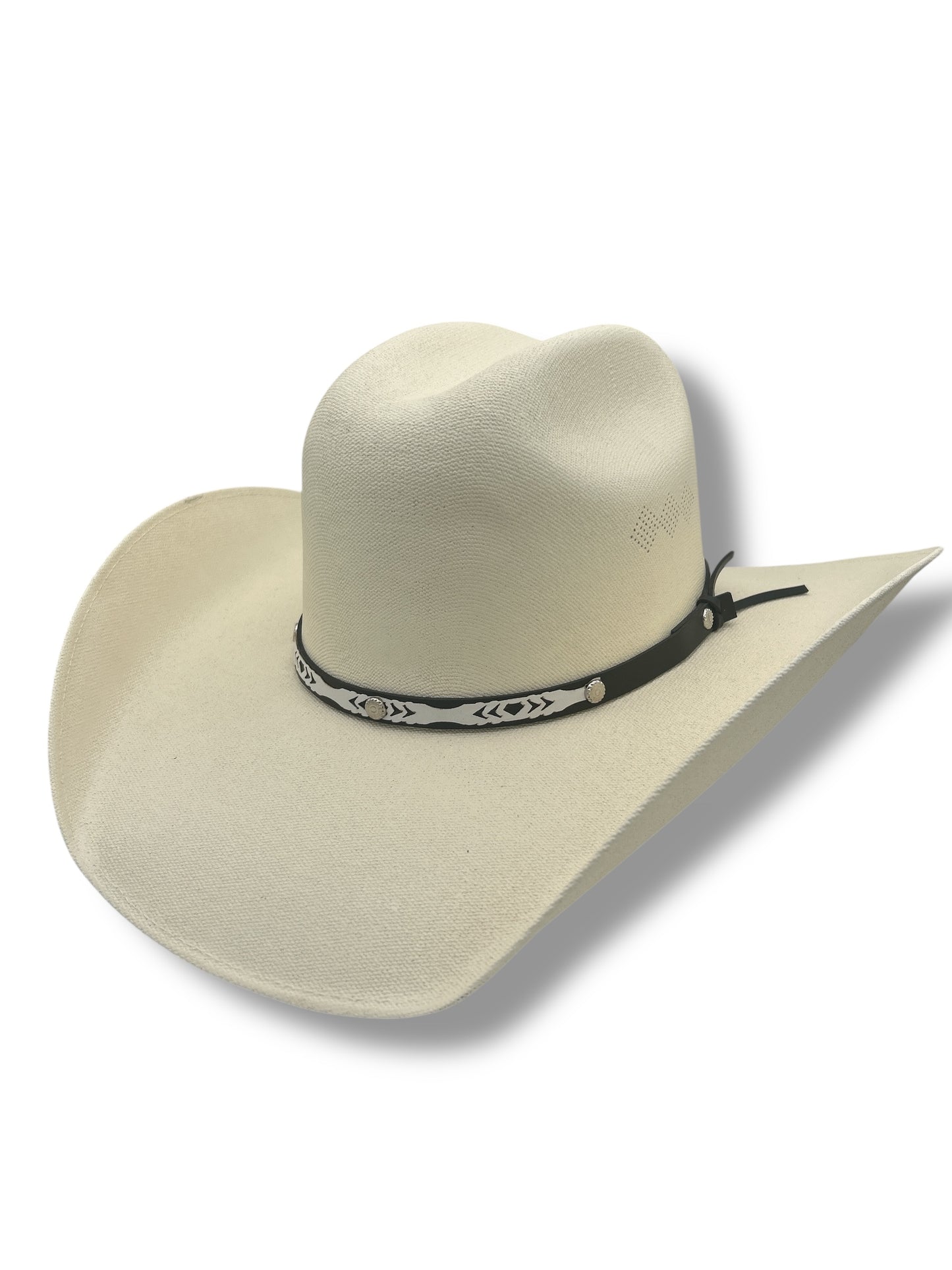 Chihuahua Canvas Western Hat
